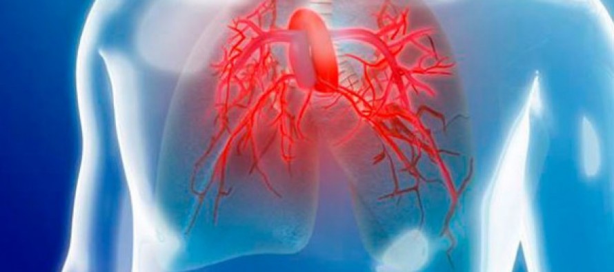 CIBERES pone en marcha un programa de investigación en hipertensión pulmonar