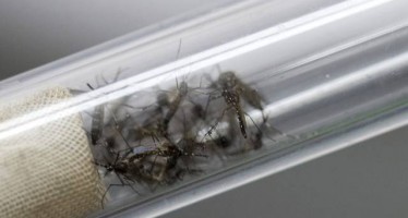 Aragón confirma el primer caso de zika