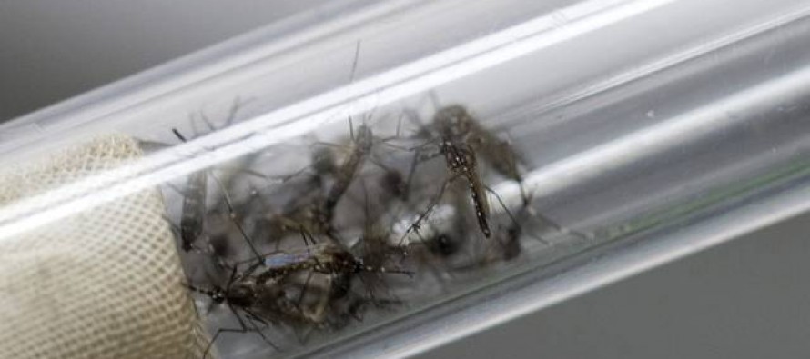 Aragón confirma el primer caso de zika