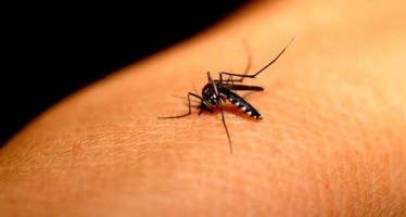Nace otro bebé sano de una madre con el virus del Zika