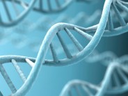 Descubren nuevas variantes genéticas que predisponen a sufrir covid grave