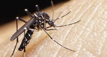 Primer caso de Zika importado en Baleares