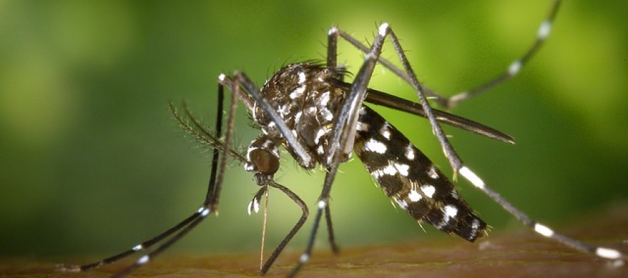 Aumentan a siete los casos de Zika en Aragón