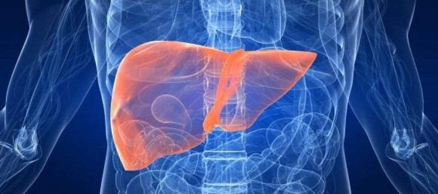 El hígado graso podría afectar a otros órganos