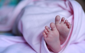 Nace en Barcelona el primer bebé con microcefalia por el virus del Zika