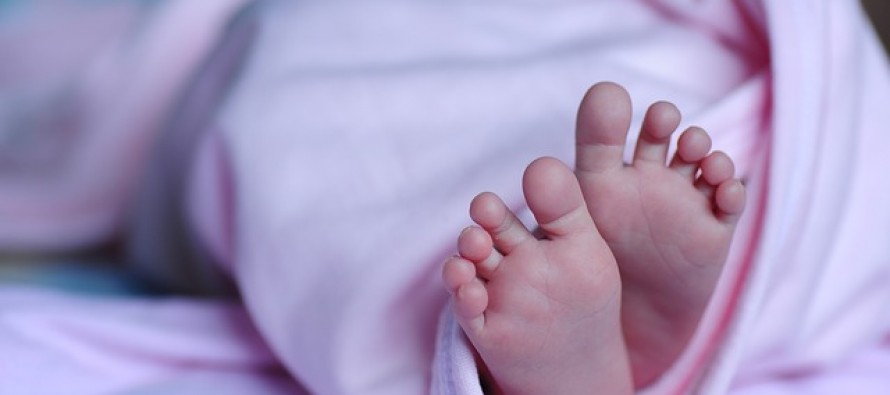 Nace en Barcelona el primer bebé con microcefalia por el virus del Zika