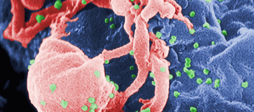 Desarrollado un nuevo test de VIH mucho más sensible
