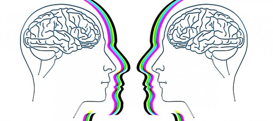 Una investigación afirma que los genes de la esquizofrenia están conectados a una reducción del hipocampo