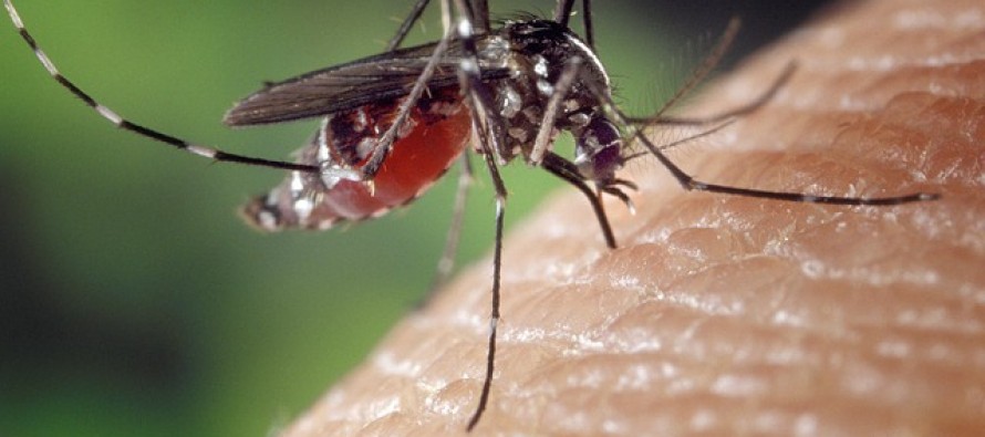 La transmisión sexual del zika no es menos probable en hombres asintomáticos