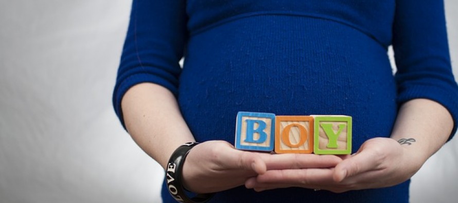El embarazo modifica el cerebro de la madre