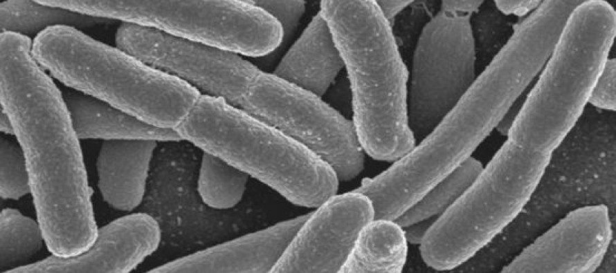 Relacionan la microbiota con enfermedades inflamatorias intestinales