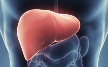 Hígado graso: La mayoría de quienes lo padecen no tienen síntomas
