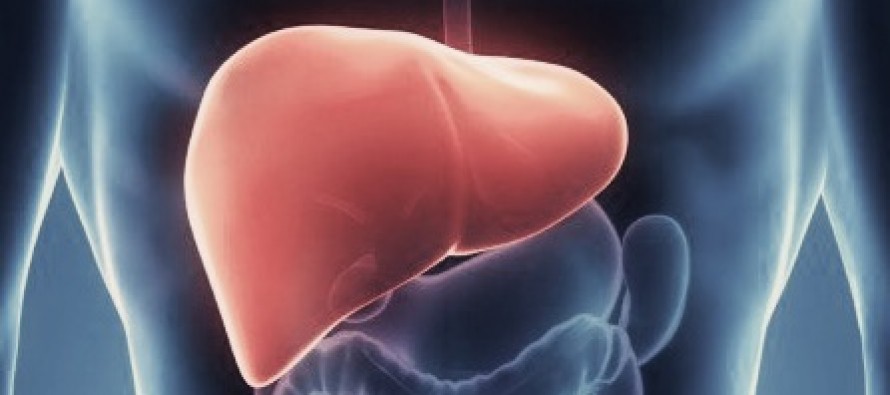 Hígado graso: La mayoría de quienes lo padecen no tienen síntomas