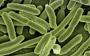 Los niños en mayor riesgo frente a las superbacterias