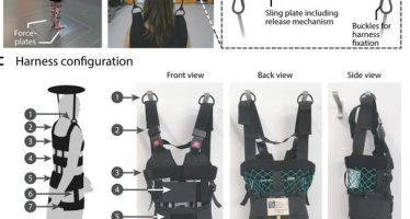 Diseñan un arnés robótico para la rehabilitación de pacientes con ictus