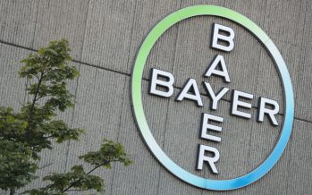 La Fundación Bayer apuesta por la formación y la innovación