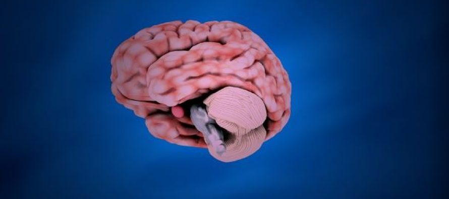 Nuevos subtipos de tumores cerebrales que podrían ayudar a identificar nuevas terapias
