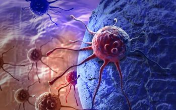 Una investigación española abre la puerta a la curación del cáncer de colon