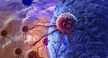 Una investigación española abre la puerta a la curación del cáncer de colon