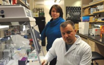 Experimento de células madre contra enfermedades incurables
