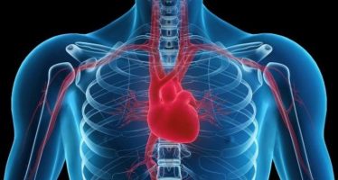 El Hospital de Navarra realiza una pionera sustitución de válvula cardiaca