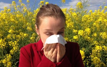Una de cada cuatro personas sufre algún trastorno alérgico en España