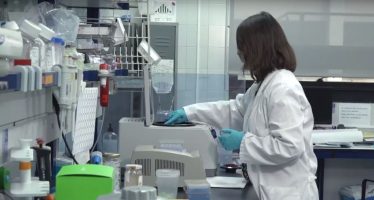 La investigación del cáncer en España