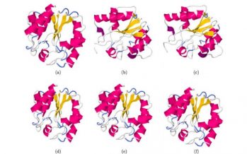Una investigación sobre la estructura espacial de las proteínas permite mejorar el diseño de los fármacos