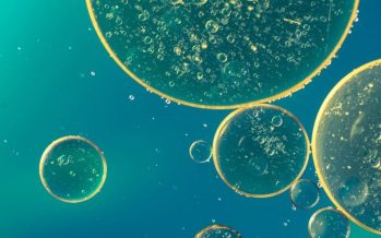 La microbiología rápida, el primer eslabón en la lucha contra la sepsis