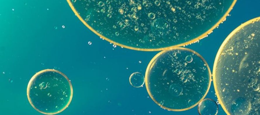 La microbiología rápida, el primer eslabón en la lucha contra la sepsis
