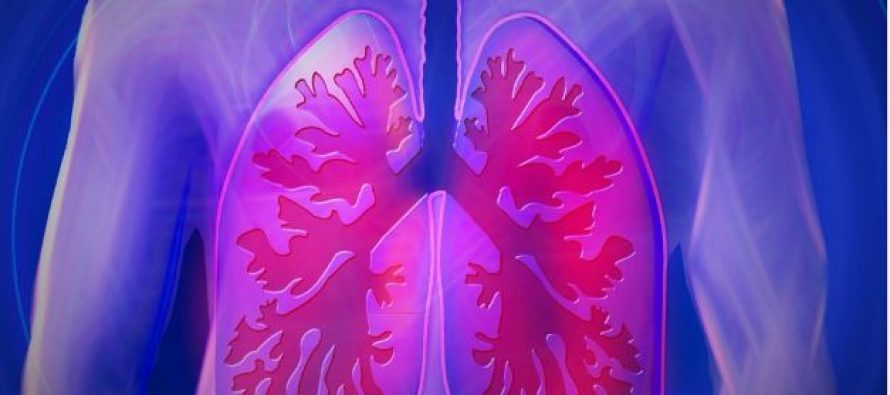 El tumor de pulmón se sitúa como la primera causa de muerte por cáncer en España durante el 2020
