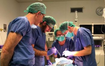Neurocirujanos españoles perfeccionan el manejo del sellado y la hemostasia