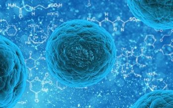 Revelan por qué las células madre se hacen resistentes al tratamiento del cáncer