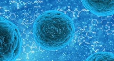 Revelan por qué las células madre se hacen resistentes al tratamiento del cáncer