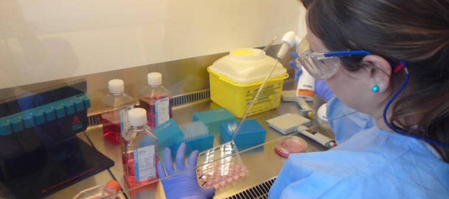 Una investigación española demuestra que los supervivientes al Ébola generar anticuerpos contra el virus
