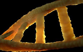 Científicos identifican un marcador genético del cáncer gástrico