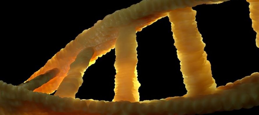 Científicos identifican un marcador genético del cáncer gástrico