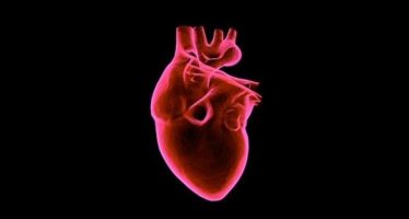 La Inteligencia Artificial previene enfermedades cardiovasculares