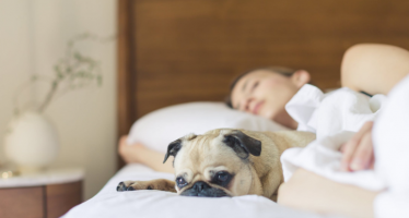 Esclerosis múltiple: Una mala higiene de sueño aumenta un 50% la posibilidad de desarrollarla