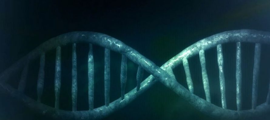 Localizan los cinco genes clave que provocan una Covid-19 grave