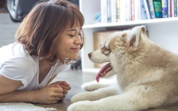 Beneficios de tener mascotas para la salud