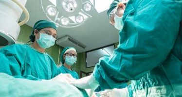 España realiza 274 trasplantes de órganos durante la pandemia
