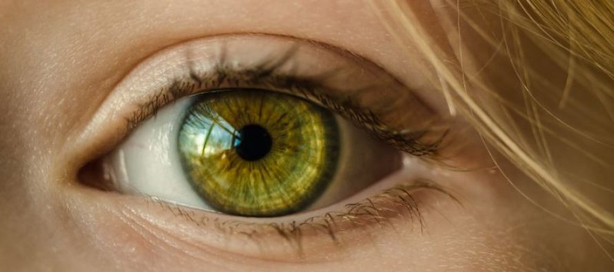 Expertos recuerdan que no detectar a tiempo el glaucoma conduce a la ceguera irreversible