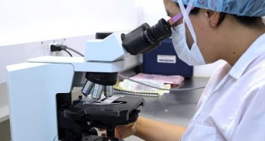 Investigadores patentan un dispositivo para hacer biopsias guiadas en tiempo real