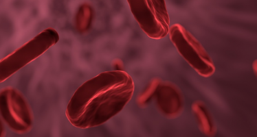 1.200 millones de personas en el mundo viven con anemia