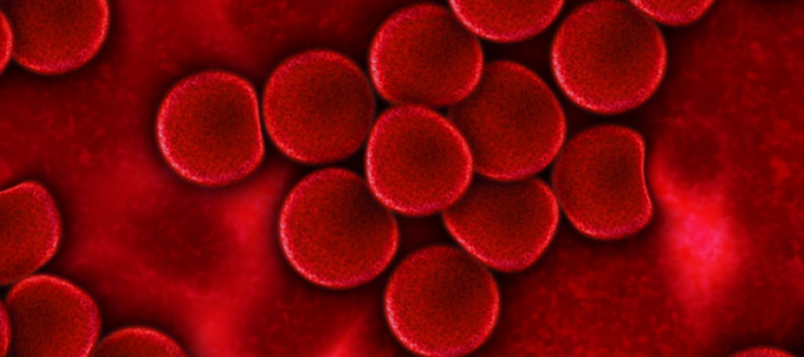 La anemia afecta al 24,8% de la población mundial