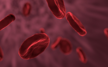 Investigadores rediseñan los glóbulos rojos para atacar la Covid-19