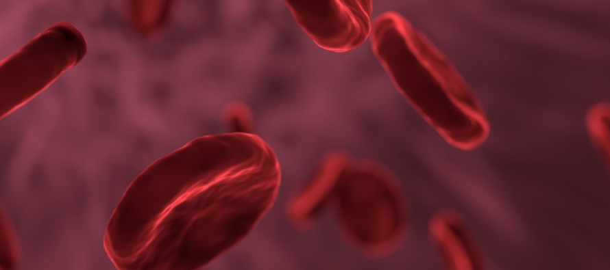 Investigadores rediseñan los glóbulos rojos para atacar la Covid-19
