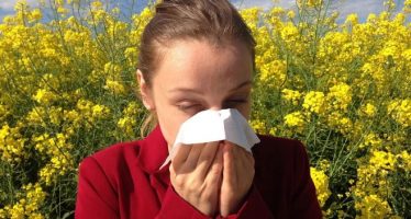 Más de 10 millones de personas en España padecen alergia