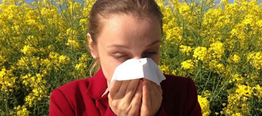 El Infanta Leonor descubre un nuevo alérgeno del polen de melocotonero